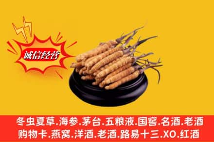 肇庆求购回收虫草多少钱每克